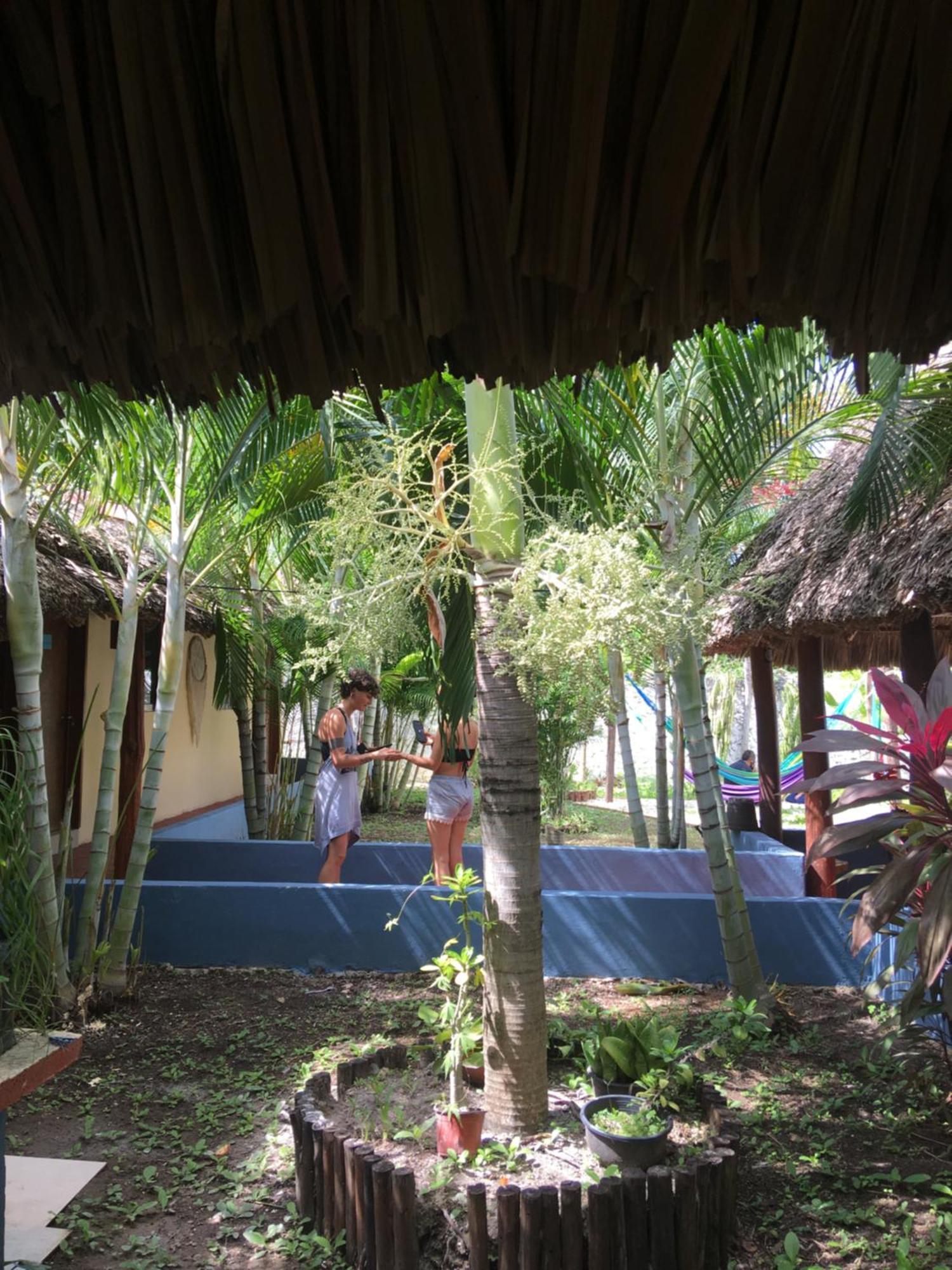 Casa Bokoba Bacalar Hotel Kültér fotó